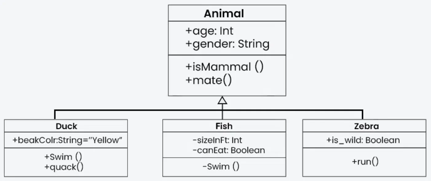 Διάγραμμα κλάσεων UML: η κλάση Animal (age, gender, isMammal(), mate()) και οι υποκλάσεις Duck, Fish και Zebra που κληρονομούν από αυτήν.